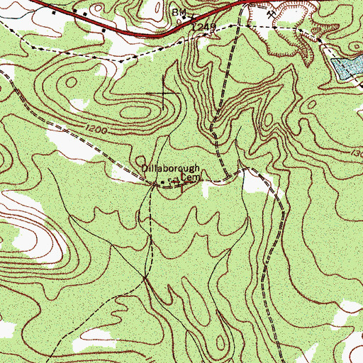Topographic Map of Dillaborough Cemetery, NY