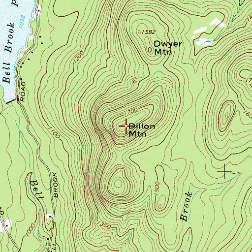 Topographic Map of Dillon Mountain, NY