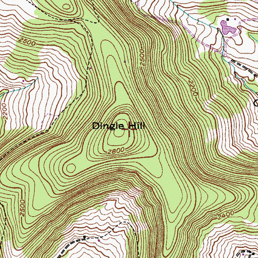 Topographic Map of Dingle Hill, NY
