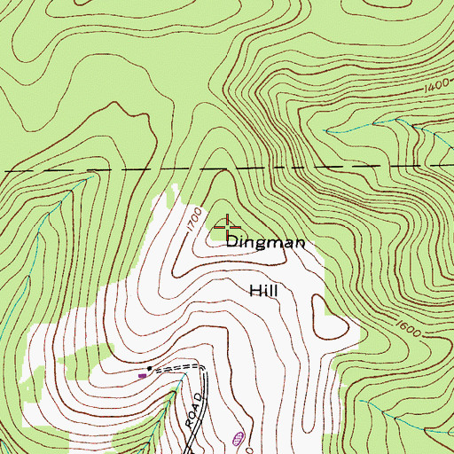 Topographic Map of Dingman Hill, NY