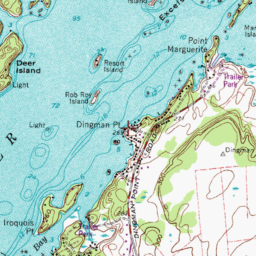 Topographic Map of Dingman Point, NY