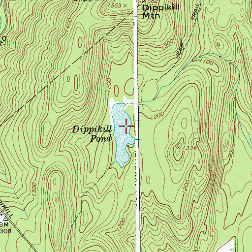 Topographic Map of Dippikill Pond, NY