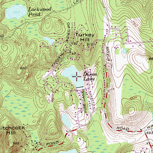 Topographic Map of Dixon Lake, NY