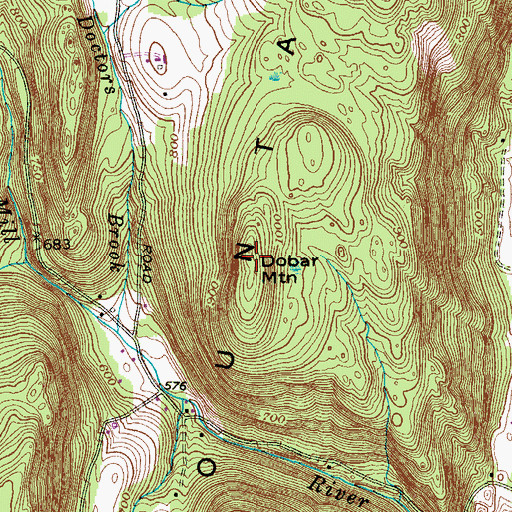 Topographic Map of Dobar Mountain, NY