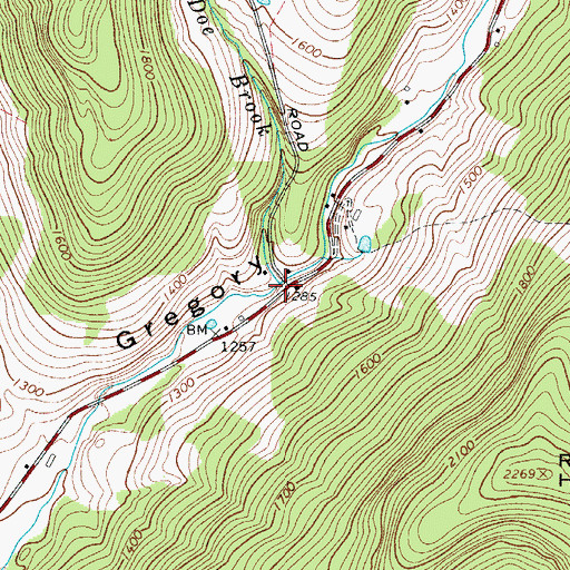Topographic Map of Doe Brook, NY
