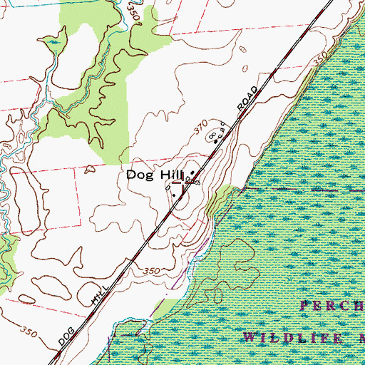 Topographic Map of Dog Hill, NY