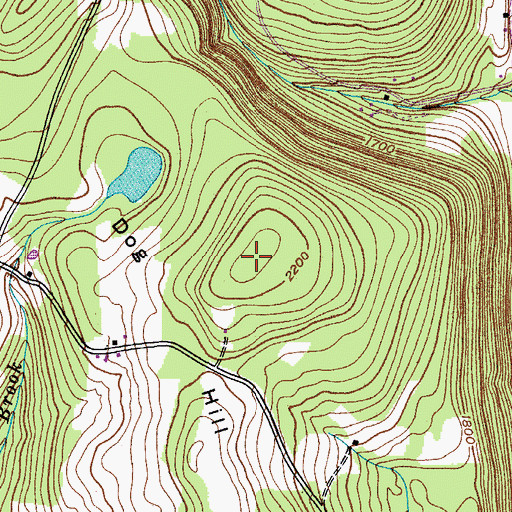 Topographic Map of Dog Hill, NY