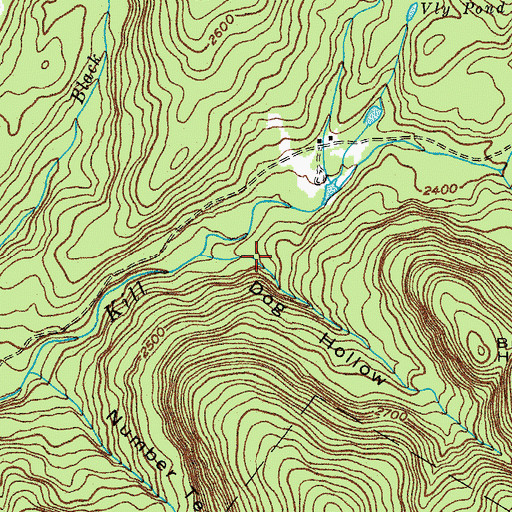 Topographic Map of Dog Hollow, NY