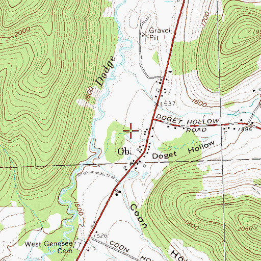 Topographic Map of Doget Hollow, NY