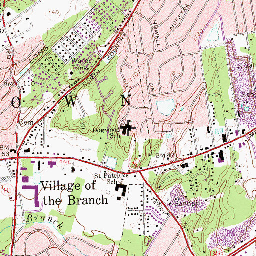 Topographic Map of Dogwood Elementary School, NY