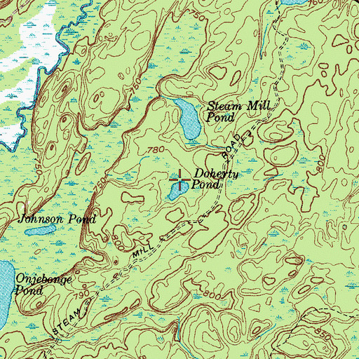 Topographic Map of Doherty Pond, NY