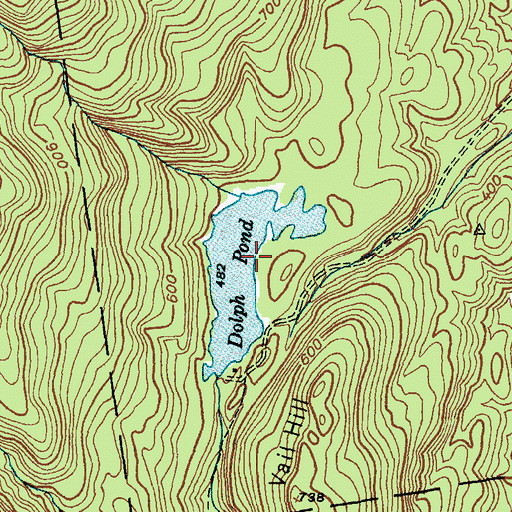 Topographic Map of Dolph Pond, NY