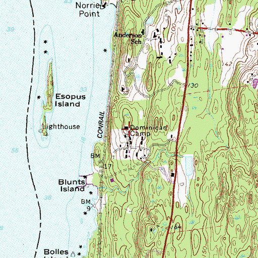 Topographic Map of Dominican Camp, NY