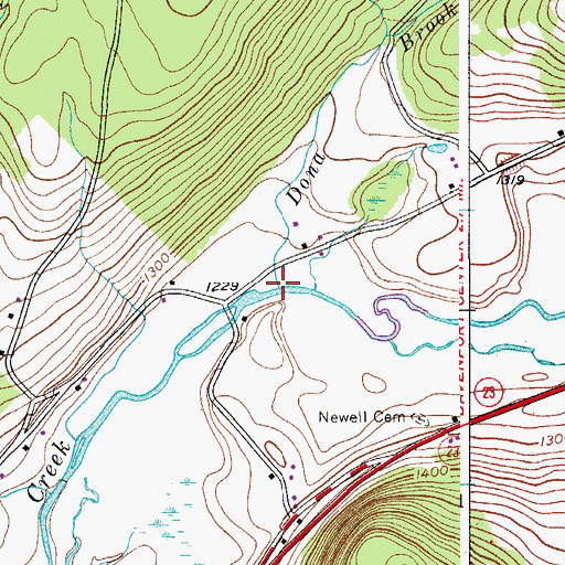 Topographic Map of Dona Brook, NY