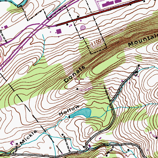 Topographic Map of Donats Mountain, NY