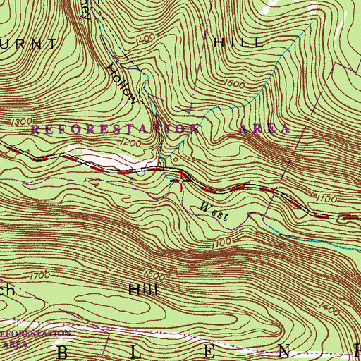 Topographic Map of Doney Hollow, NY
