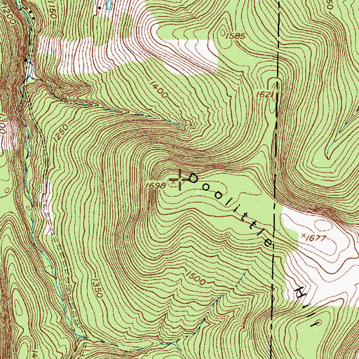 Topographic Map of Doolittle Hill, NY