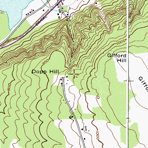 Topographic Map of Dopp Hill, NY