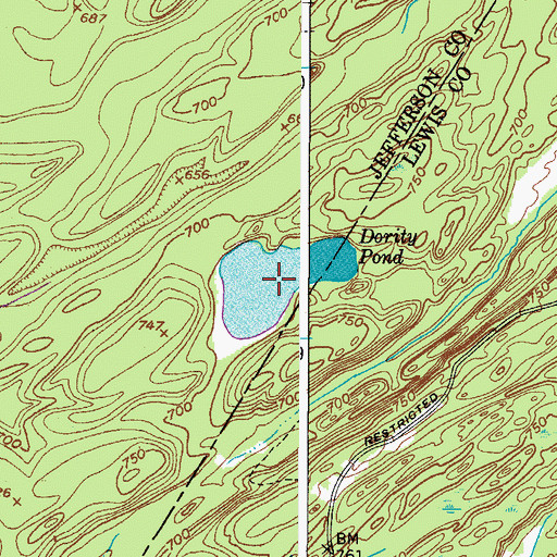 Topographic Map of Dority Pond, NY