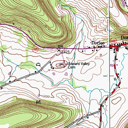 Topographic Map of Seward Valley Cemetery, NY