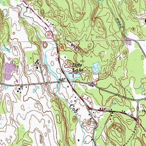 Topographic Map of Dots Lake, NY
