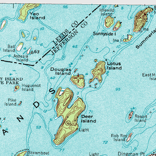 Topographic Map of Douglas Island, NY