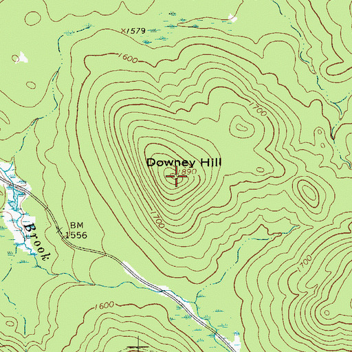 Topographic Map of Downey Hill, NY