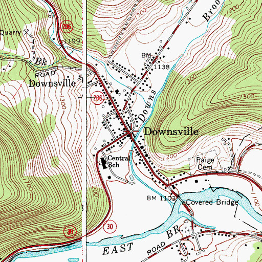 Topographic Map of Downsville, NY