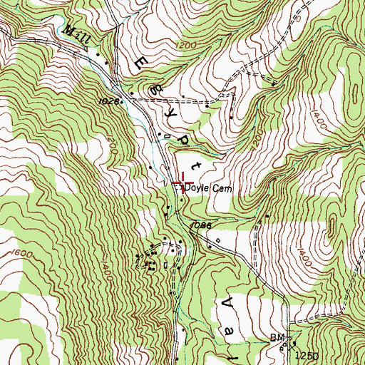 Topographic Map of Doyle Cemetery, NY