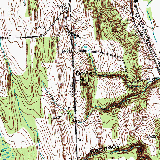Topographic Map of Doyle Hill, NY