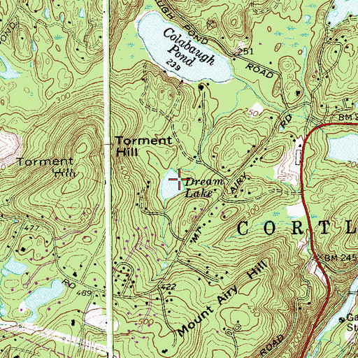 Topographic Map of Dream Lake, NY