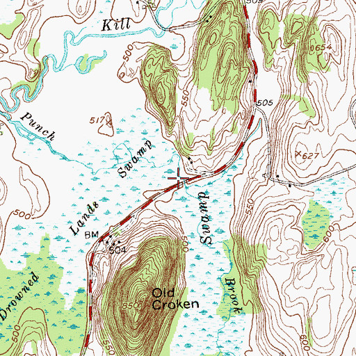 Topographic Map of Drowned Lands Swamp, NY