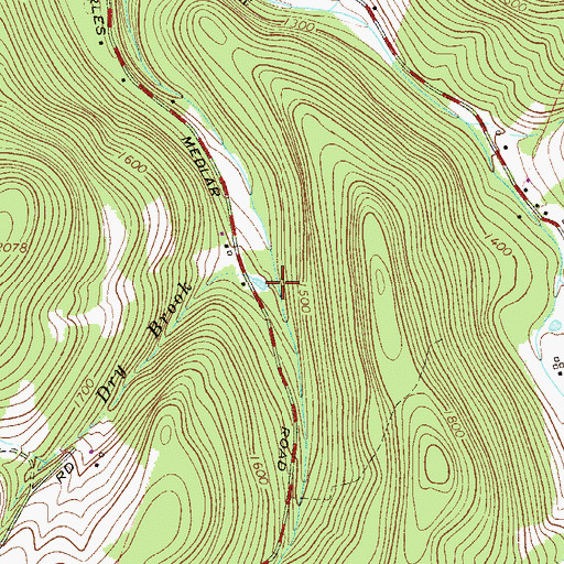Topographic Map of Dry Brook, NY