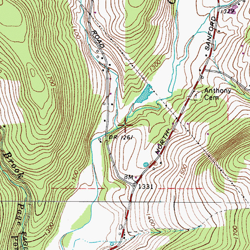 Topographic Map of Dry Brook, NY