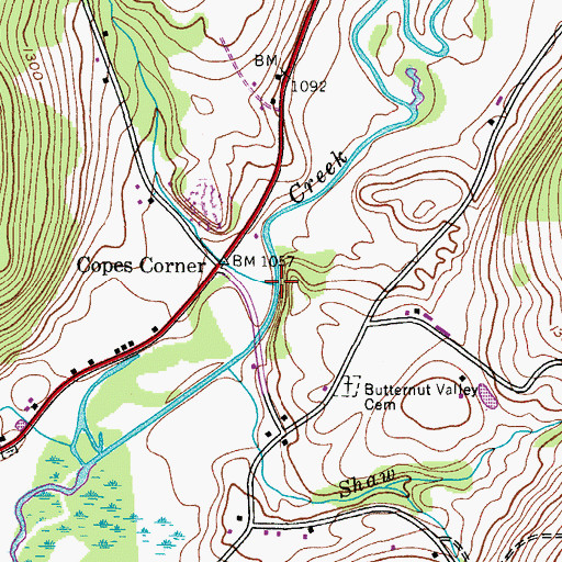 Topographic Map of Dry Brook, NY