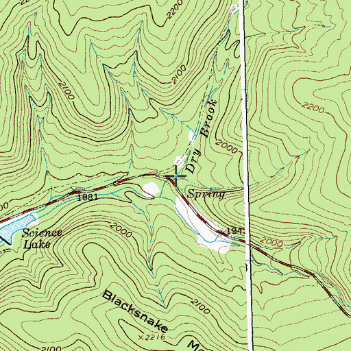 Topographic Map of Dry Brook, NY