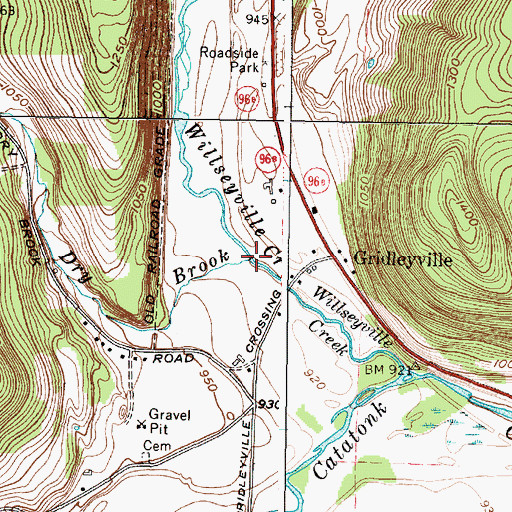 Topographic Map of Dry Brook, NY