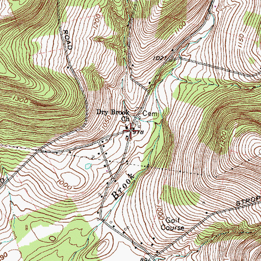 Topographic Map of Dry Brook Church, NY