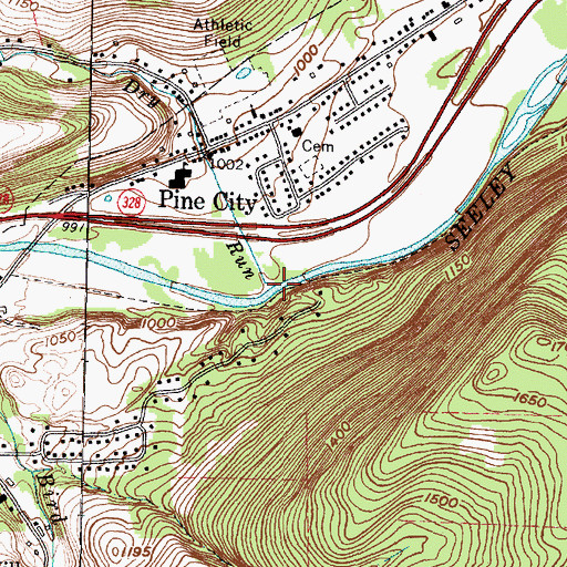 Topographic Map of Dry Run, NY