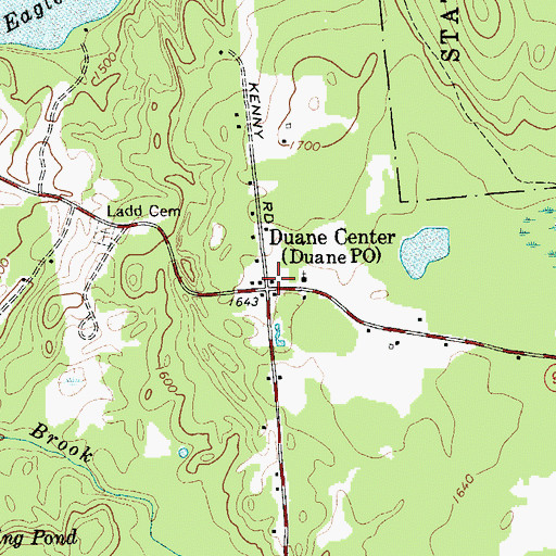 Topographic Map of Duane Center, NY