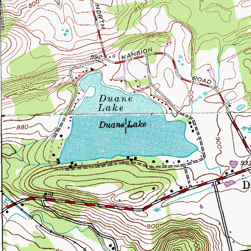 Topographic Map of Duane Lake, NY