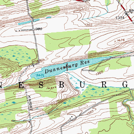 Topographic Map of Duanespurg Reservoir, NY