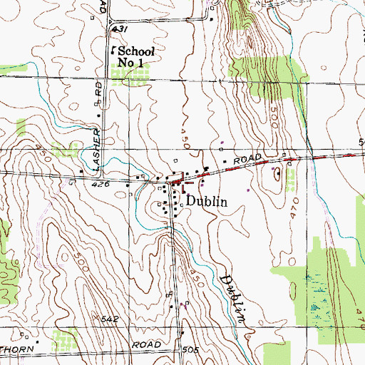 Topographic Map of Dublin, NY