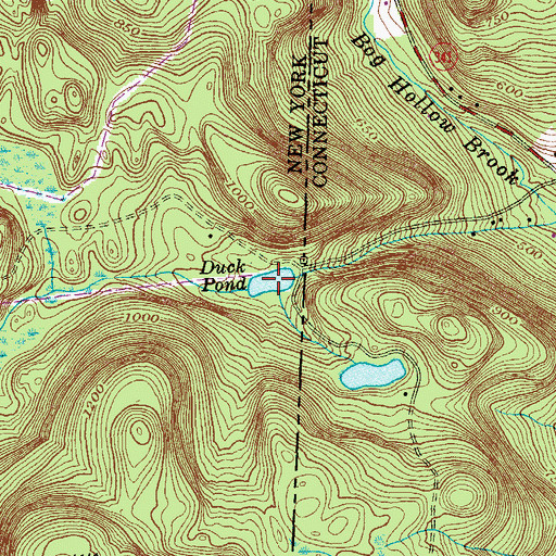 Topographic Map of Duck Pond, NY