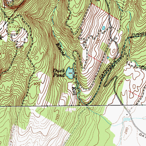 Topographic Map of Duck Pond, NY