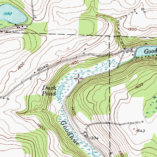 Topographic Map of Duck Pond, NY