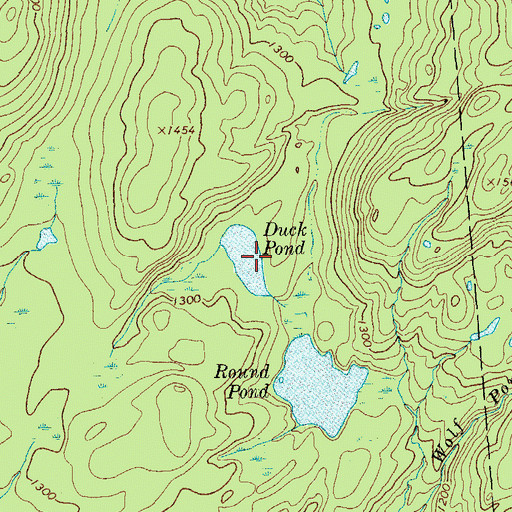 Topographic Map of Duck Pond, NY