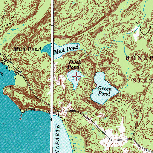 Topographic Map of Duck Pond, NY