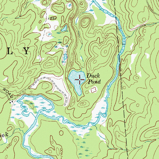 Topographic Map of Duck Pond, NY