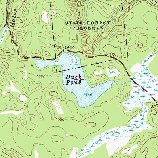 Topographic Map of Duck Pond, NY